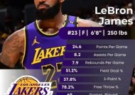 包含表现优异首场状态出色，G2观众沸腾！，詹姆斯重返赛场再创辉煌时刻的词条-开云APP